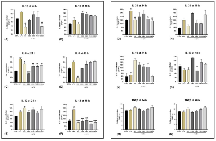 Release of cytokines into HaCaT cells culture medium. IL-1β expression (pg/mL) in HaCaT cells after (A) 24 h and (B) 48 h of treatment with LPS at 5.0 µg/mL either in the presence of HC at 10.0 µM or the following pCBs: CBG 6.0 µM, CBC 4.0 µM, THCV 9.3 µM and CBGA 13.0 µM; IL-8 expression (ng/mL) in HaCaT cells after (C) 24 h and (D) 48 h of treatment; IL-12 expression (pg/mL) in HaCaT cells after (E) 24 h and (F) 48 h of treatment; IL-31 expression (pg/mL) in HaCaT cells after (G) 24 h and (H) 48 h of treatment; IL-10 expression (pg/mL) in HaCaT cells after (J) 24 h and (K) 48 h of treatment; TNF-β expression (pg/mL) in HaCaT cells after (M) 24 h and (N) 48 h of treatment. Data are presented as means ± SEM of three independent experiments (n = 3). Statistical analysis was performed using a one-way ANOVA test followed by a Bonferroni post hoc test (** p < 0.01; *** p < 0.001; **** p < 0.0001 vs. CTRL; # p < 0.05; ## p < 0.01; ### p < 0.001; #### p < 0.0001 vs. LPS).