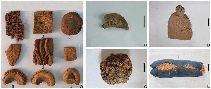 Materials chosen for microfossil analysis.(A) Five cakes labeled 1–5 chosen for microfossil analysis. Scale bar = 2 cm; (B) Dumping chosen for microfossil analysis. Scale bar = 2 cm; (C) Desiccated porridge chosen for microfossil analysis. Scale bar = 2 cm; (D) A small bag of Setaria italica from tomb No. 64TAM5:37. Scale bar = 2 cm; (E) A pillow from tomb No. 73TAM519:18 using stalks of Triticum aestivum and H. vulgare var. coeleste as filling. Scale bar = 5 cm.