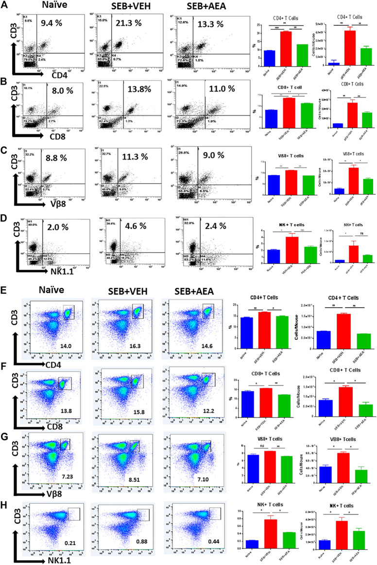 AEA decreases T cell subpopulations in the lungs and spleens. Mice were treated with SEB and AEA as described in Figure 1 legend. Each panel shows a representative experiment depicting lung MNCs and splenocytes analyzed for various T cell markers. Data from five mice/group is presented in the form of vertical bars with Mean+/-SEM. Panels A–D and E-H show data from the lungs and spleens, respectively. (A,E) CD3+CD4+ T cells (B,F) CD3+CD8+ T cells, (C,G) CD3+Vβ8+ T cells, (D,H) CD3+NK1.1 + cells. Five mice in each group were used and the data was confirmed in three independent experiments. *p ≤ 0. 05, **p ≤ 0. 01, ***p ≤ 0. 001.