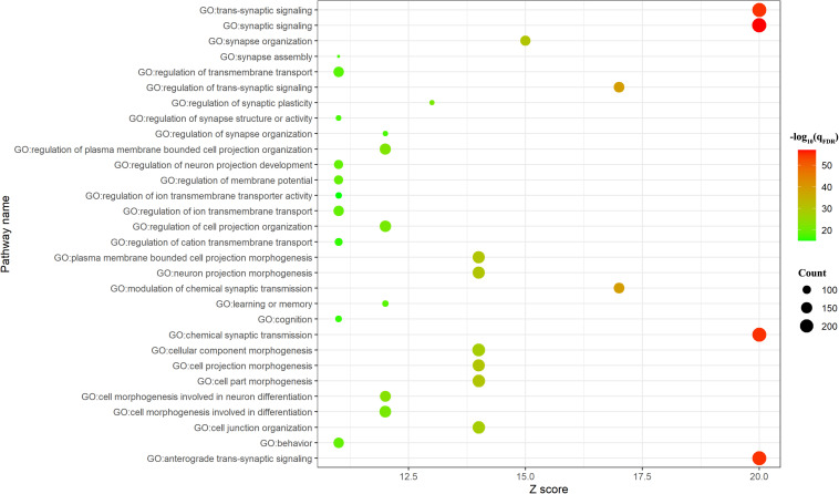 Top 20 significant Gene Ontology (GO) biological processes/Kyoto Encyclopedia of Genes and Genomes (KEGG) pathways. The count meant the number of genes involved in the given term.