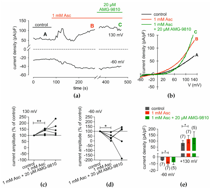 Asc-induced increases in whole-cell currents partially inhibited by AMG. Patch-clamp experiments demonstrate an increase in whole-cell currents following treatment with 1 mM Asc. (a) The time course of maximal outward (at 130 mV) and inward (at −60 mV) current densities, normalized to cell membrane capacitance, is plotted against time (in seconds). The dashed line indicates a change in axis. The first 100 s represent control currents (black bar). The red bar represents the presence of 1 mM Asc, and the green bar represents the presence of 20 µM AMG. (b) Current densities are plotted against membrane voltage. The letters indicate the time points in (a) at which the current–voltage analyses were performed. (c) A diagram showing single outward current amplitudes at 130 mV, expressed as a percentage of control (set to 100%), for measurements with 1 mM Asc and 1 mM Asc + 20 µM AMG. (d) A diagram equivalent to (c) regarding inward currents at –60 mV. (e) Statistical analysis of mean current amplitudes shown as current densities (pA/pF) at 130 mV and −60 mV. The number in brackets indicates the number of measurements. Asterisks (*) indicate statistical significance in paired data (* p < 0.05, ** p < 0.01). Statistical significance was defined as p < 0.05.