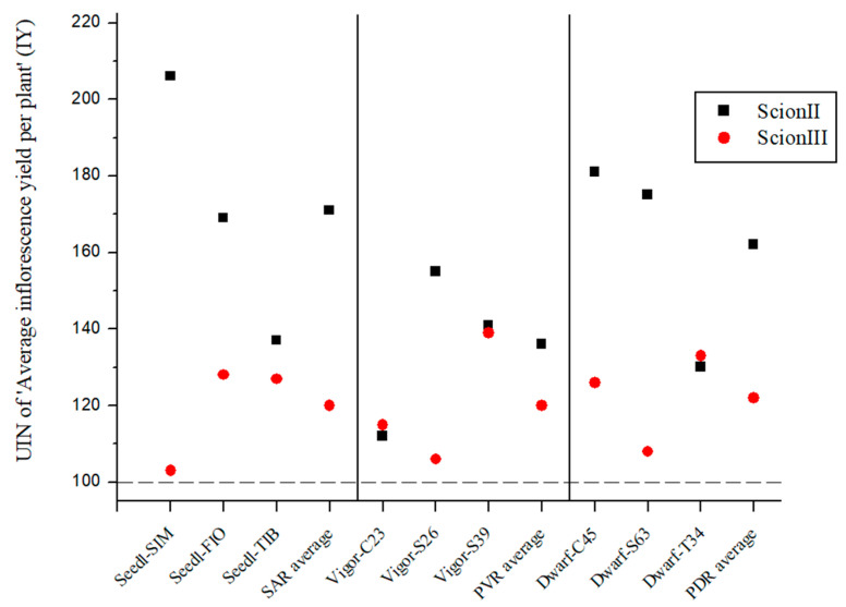 Average inflorescence yield per plant (IY) for two scion genotypes grafted on nine different rootstocks expressed as UIN, where value of 100 represent control combination (non-grafted plants). SIM, S—population ‘Simba’, FIO—variety ‘Fiona’, TIB, T—variety ‘Tiborszallasi’, C—variety ‘Carmagnola’, Seedl, SAR—seedling-as-rootstock combination, Vigor, PVR—potentially vigorous rootstocks, Dwarf, PDR—potentially dwarfing rootstocks, ScionII—scion of chemotype II, and ScionIII—scion of chemotype III.