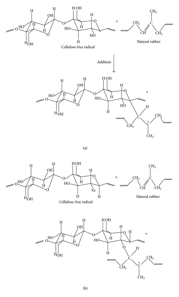 Proposed mechanism for the interaction between cellulose and natural rubber.