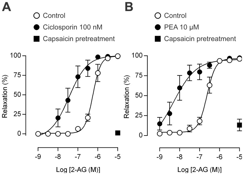 The calcineurin inhibitor ciclosporine and palmitoylethanolamide potentiate the sensory nerve-dependent vasodilator response to 2-arachidonoylglycerol.Effects of ciclosporine (A) and palmitoylethanolamide (PEA, B) on the vasorelaxation evoked by 2-arachidonoylglycerol (2-AG) in rat isolated mesenteric arterial segments. Pretreatment with 10 µM capsaicin almost abolished the 2-AG-induced relaxation in the presence of ciclosporine or PEA. The MAGL inhibitor methylarachidonylfluorophosphonate (30 nM) was present throughout. Data are presented as mean ± s.e.m (n = 6–8).