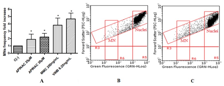 MN’s frequency fold increase on TK6 cells after 26 h treatment with APINAC at the indicated concentrations with respect to the untreated negative control [C (-)] and to positive controls [MMC and VINB] (A), plot of nuclei and micronuclei in untreated control (B) and in 25 µM treated (C). Data were analyzed using repeated ANOVA followed by Bonferroni post-test. * p < 0.05 versus C (-).