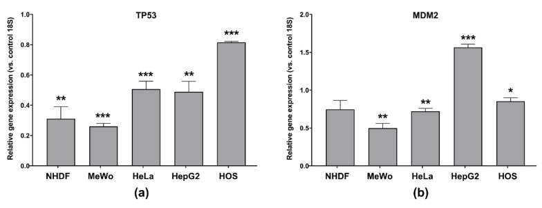 (a) TP53 gene expression; (b) MDM2 gene expression in normal dermal fibroblasts (NHDF), malignant melanoma (MeWo), adenocarcinoma (HeLa), hepatocellular carcinoma (HepG2) and osteosarcoma (HOS) cells treated with cell line-specific IC50 of CBD-enriched hemp oil for 48 h. Control cells were incubated with complete cell culture medium. Experiments were done in triplicate, obtained data were expressed as mean 2−ΔΔCq values (vs. 18S of control cells) ± standard error of the mean. * p < 0.05, ** p < 0.01, *** p < 0.001 vs. control cells (TP53: NHDF p = 0.001014, MeWo p = 0.000003, HeLa p = 0.000669, HepG2 p = 0.001736, HOS p = 0.000011; MDM2: NHDF p = 0.065319, MeWo p = 0.001181, HeLa p = 0.002125, HepG2 p = 0.000358, HOS p = 0.033260).