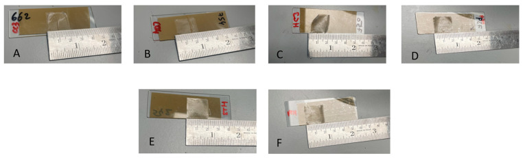 3D-printed buccal cannabinoid films; (A) C3C, (B) C4C, (C) H3C, (D) H4C, (E) H3TC, and (F) H4TC.