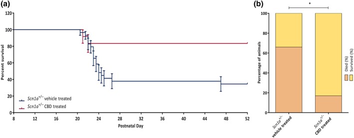 Plots showing chronic administration of CBD to Scn1a +/− mice on survival. (a) Survival of Scn1a +/− vehicle‐treated and Scn1a +/− CBD‐treated group. CBD treatment significantly increased survival compared to the vehicle‐treated Scn1a +/− group. Error bars are SEM; data were analysed by Mantel–Cox test. (b) Percentage of Scn1a +/− vehicle‐treated and Scn1a +/− CBD‐treated animals that survived until the completion of experiment (P52). A significantly greater number of CBD treated animals survived until the end of experiment compared to the Scn1a +/− vehicle‐treated animals. Data were analysed by Fisher's exact test. *P < .05