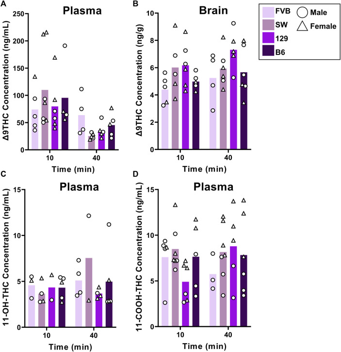 Effects of strain on Δ9THC and its metabolite concentrations after smoke exposure in young adult mice (Experiment 2). No strain differences were observed in plasma Δ9THC concentrations (A). There was a significant main effect of Strain on brain Δ9THC concentrations, with 129 mice achieving significantly greater concentrations than FVB mice (B). A main effect of strain was not observed in plasma 11-OH-THC (C) or plasma 11-COOH-THC concentrations (D).