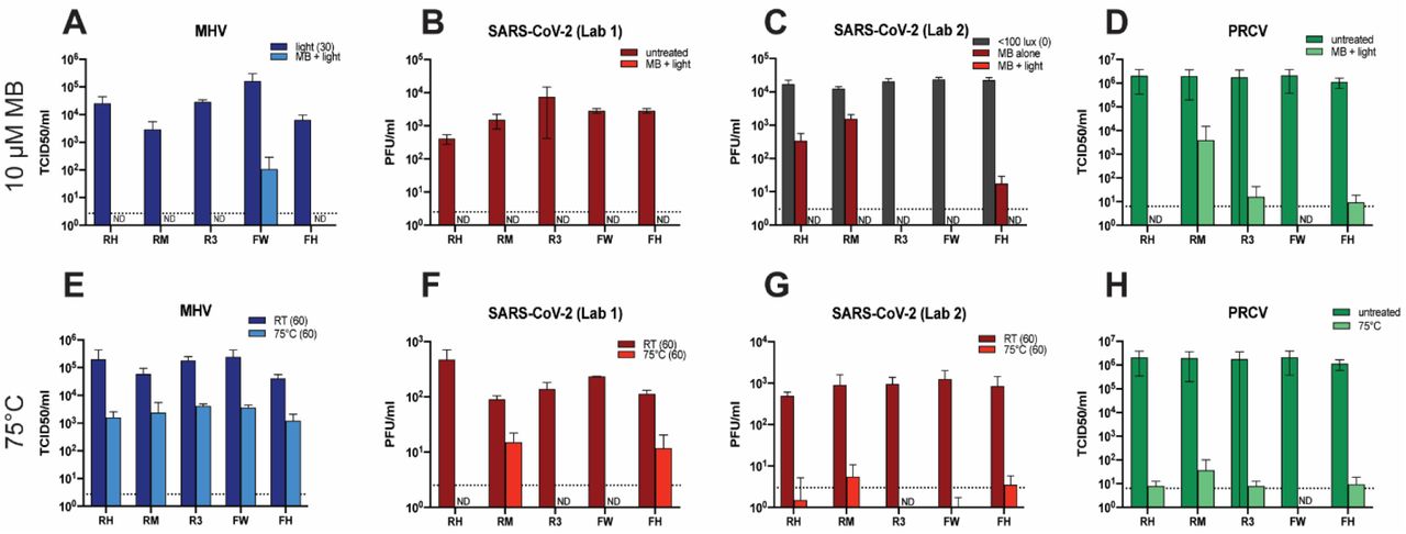 Effect of MBL treatment on MHV, PRCV and SARS-CoV-2 titers on the surfaces of three FFRs (R3, RH, RM) and two MMs (FH, FW).(A-C) A 10 µl aliquot of SARS-CoV-2 or MHV was applied to coupons of the indicated masks and dried for 20 min. 10-30 µl of 10 µM MB was added to each coupon, depending on coupon size, and the samples were treated with light (50,000 lux) or protected from light. (D) 100 ul of PRCV was injected under the outer layer of intact FFRs or MMs and allowed to dry for 30 minutes. Subsequently the FFRs and MMs were sprayed with 10 µM MB and dried for 30 minutes in the dark before exposure to 12,500 lux of red light. (E-H) Effect of 75°C DH treatment on MHV, PRCV and SARS-CoV-2 titers on the surface of three FFRs (R3, RH, RM) and two MMs (FH, FW). A 10 µl aliquot of SARS-CoV-2 or MHV was applied to coupons of the indicated masks and dried for 20 min. (H) 100 ul of PRCV was injected under the outer layer of intact FFRs/MMs and dried for 30 minutes. For PRCV, MBL and DH were tested simultaneously and share the same control data. Coupons and intact respirators/masks were incubated at 75°C for 60 minutes. Each virus titer was determined using 2-6 replicate samples by plaque assay or TCID50. Data is represented as mean +/-SD. ND = Not detected. FH= Type IIR ASTM F2100 Level 2 Halyard face mask. FW= Type II EN 14683 generic face mask. R3= 3M panel respirator (1870+). RH= Halyard duckbill respirator (Fluidshield-46727). RM= 3M half-sphere respirator (1860). Dotted line indicates limit of detection.