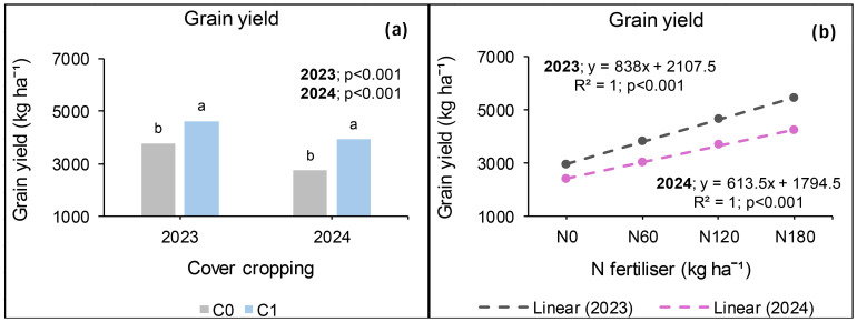 Two panels showing grain yield data. Panel (a) is a bar chart comparing yields for C0 and C1 cover cropping in 2023 and 2024, with C1 showing higher yields. Significant differences are indicated by 'a' and 'b' labels. Panel (b) is a line graph showing grain yield response to increasing N fertilizer rates in 2023 and 2024, with linear trend lines for each year demonstrating a positive correlation. Both graphs include significance levels (p<0.001).