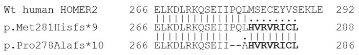 Alignment of the wild-type protein fragment encoded by exon 8 of HOMER2 long isoform (NP_955362.1) and the truncating mutations in the CDC42-binding domain (CBD) identified in the Chinese (p.Met281Hisfs*9) and Spanish (p.Pro278Alafs*10) families. The amino acid sequence shared between both aberrant protein tails is shown in bold face.