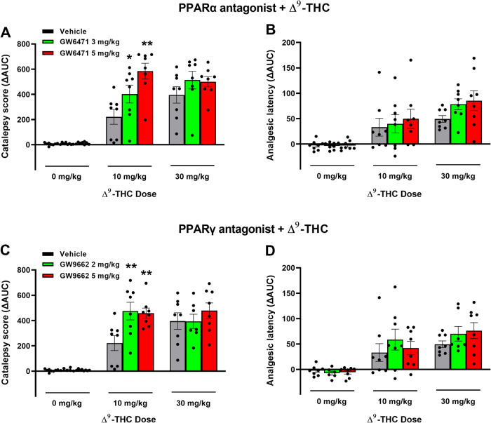 Effects of PPAR antagonists on Δ9-THC-induced catalepsy and analgesia in mice.A/B Pretreatment with the PPARα antagonist GW6471 enhanced 10 mg/kg Δ9-THC-induced catalepsy (A) but did not significantly alter hot-plate analgesia (B). C/D Pretreatment with the PPARγ antagonist GW9662 enhanced THC-induced catalepsy (C) but failed to alter Δ9-THC-induced analgesia (D). (See Figs. S8 and S9 for the effects of PPAR antagonists on Δ9-THC-induced hypothermia and immobility).