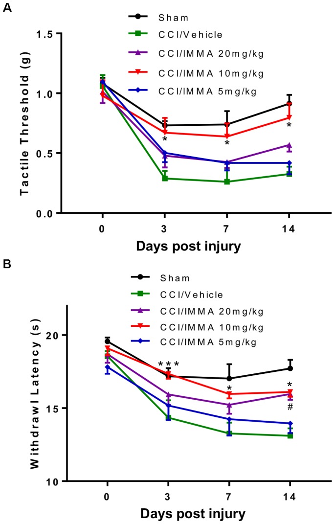 IMMA dose dependently alleviated neuropathic pain in CCI mice. At days 0, 3, 7, and 14 after surgery, mechanical tactile thresholds were evaluated by the “Up-Down” method using Von Frey filaments (A) and thermal withdrawal latency was determined by Hargreaves test (B). Treatment with IMMA at 10 mg/kg significantly reduced thermal withdrawal latency and increased mechanical thresholds compared to the vehicle group (∗p < 0.05 and ∗∗∗p < 0.001. n = 15/group). At 5 mg/kg, IMMA had no effect, although there was a trend toward the increased tactile threshold and withdrawal latency. Treatment of IMMA at 20 mg/kg significantly increased thermal withdrawal latency only on day 14 compared to the vehicle group (#p < 0.05. n = 15/group). Data were analyzed using two-way ANOVA, and the Tukey-Kramer post hoc test was used for comparing different treatment groups.