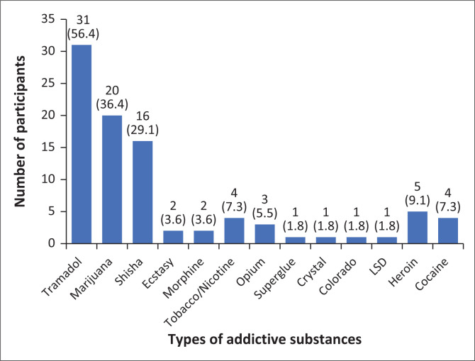 Addictive drugs currently being used by participants (n = 55). (Multiple responses allowed).