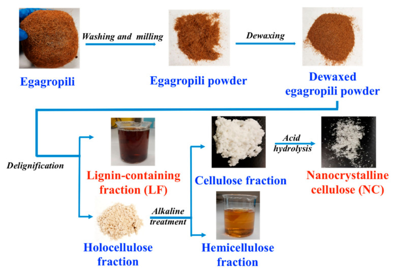 Scheme of the extraction procedure of nanocrystalline cellulose and lignin containing fraction from egagropili.