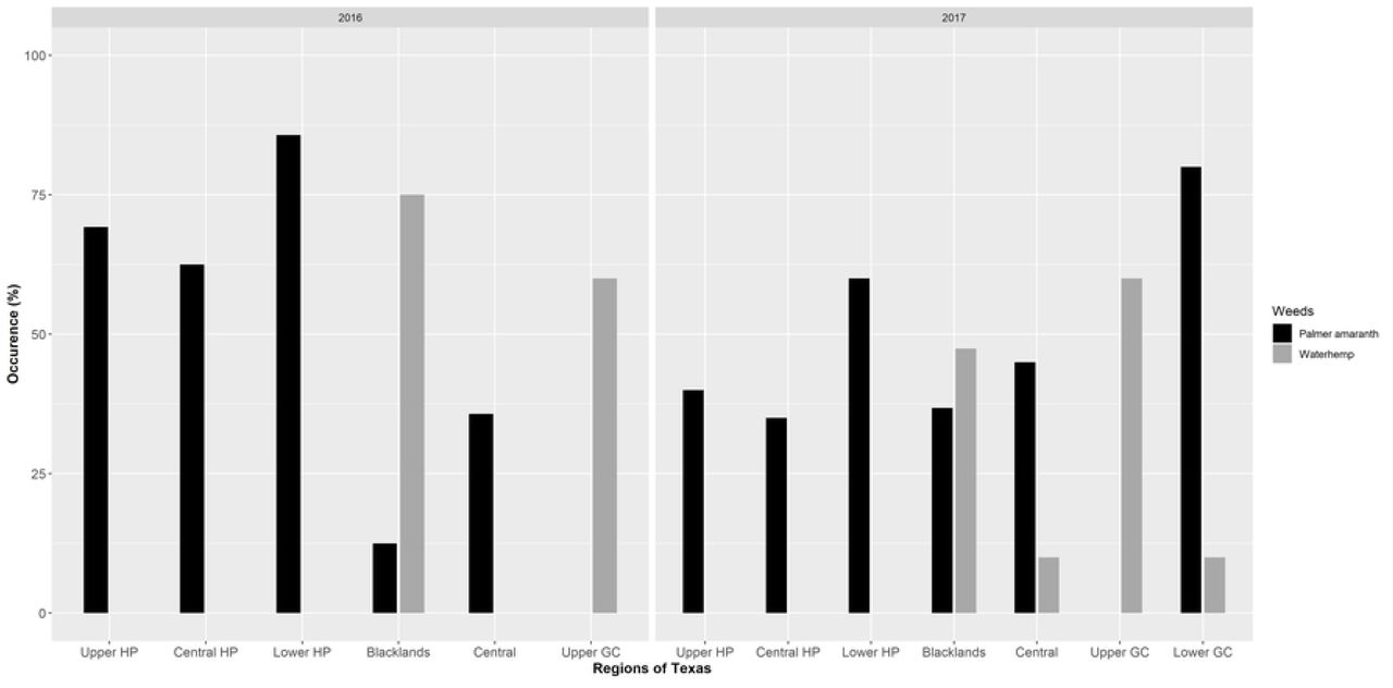 Percent of surveyed fields infested with A. palmeri and A. tuberculatus escapes in the major cotton-producing regions in Texas in 2016 and 2017.The Lower GC region was surveyed only in 2017. Abbreviations: HP, High Plains; GC, Gulf Coast.
