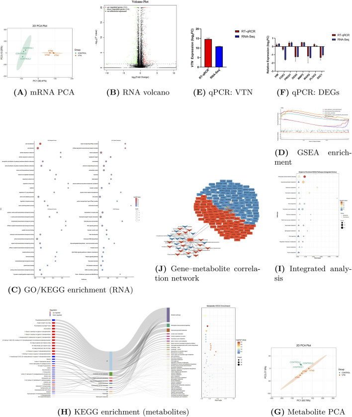 Panel of molecular biology data visualizations includes mRNA and metabolite principal component analyses, RNA volcano plot, qPCR bar graphs, enrichment plots (GSEA, GO, KEGG), an integrated analysis scatter plot, a gene–metabolite correlation network, and a Sankey diagram for metabolite enrichment. Each figure is labeled with a letter for reference.