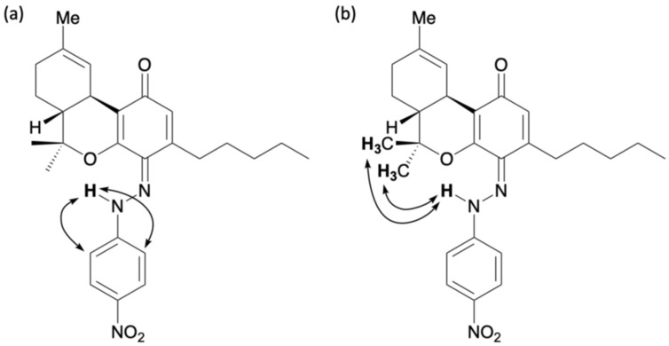 Key correlations for 9: (a) HMBC and (b) NOESY.