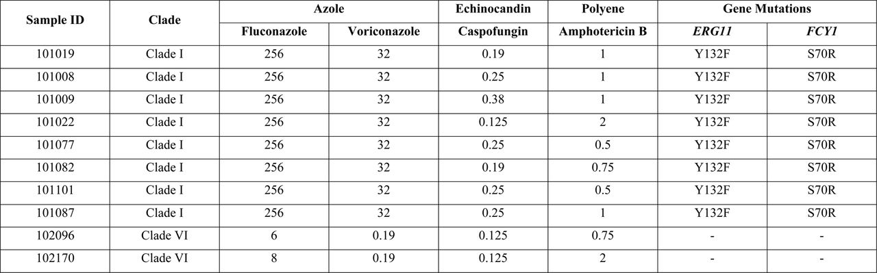 Results of known mutation analysis and antifungal susceptibility test for azoles, polyenes, and echinocandins.