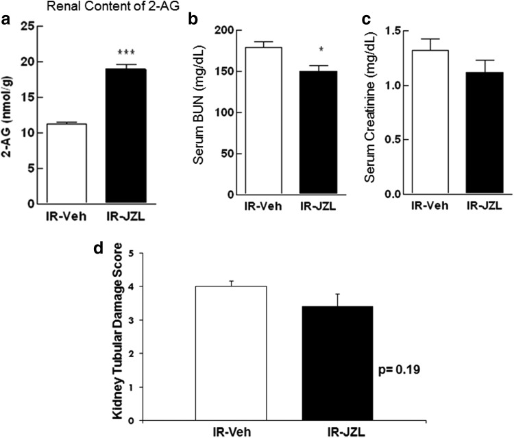 Renal 2-AG content increased significantly 24 h post-IRI in animals treated with JZL184 (2 h before induction of IR) compared to vehicle-treated controls who also underwent IRI (a). Plasma markers of renal function (BUN and creatinine) and renal histology (tubular damage score) improved in animals treated with JZL184 (b–d). Data are expressed as mean ± SEM, n=6–10 animals in each group, *p<0.05, ***p<0.005.