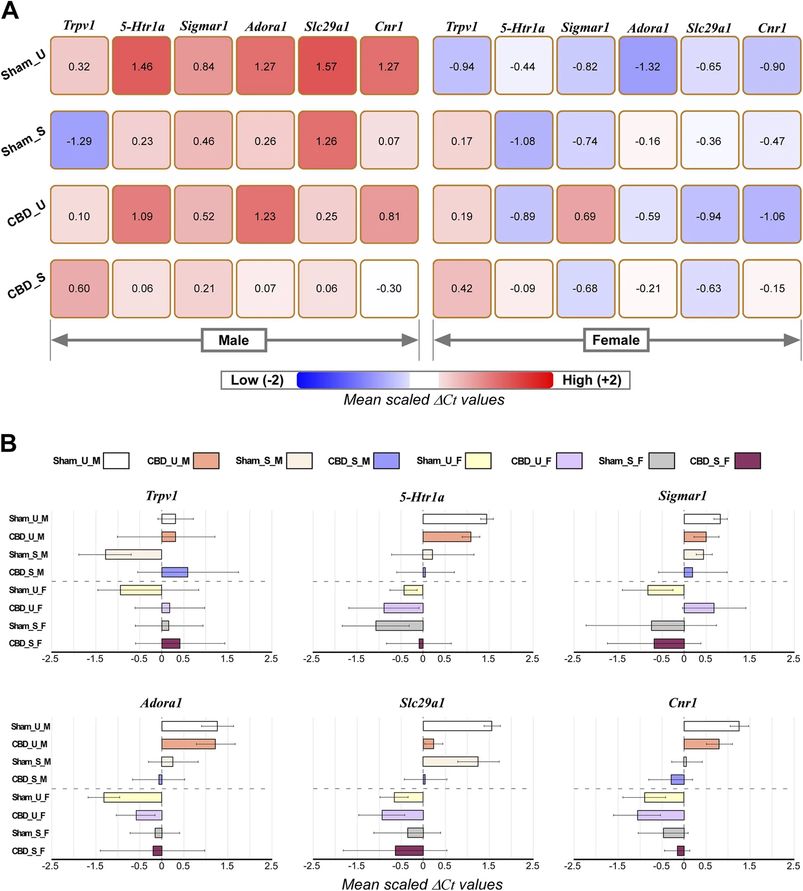 Figure composed of two panels. Panel A displays a heat map showing mean scaled ΔCt values for six genes (Trpv1, 5-Htr1a, Sigmar1, Adora1, Slc29a1, Cnr1) across four groups (Sham_U, Sham_S, CBD_U, CBD_S) for males and females, with color scale from blue (low, -2) to red (high, +2). Panel B presents box plots of mean scaled ΔCt values for the same genes and groups, separated by sex, with different color boxes corresponding to group labels indicated in the legend.