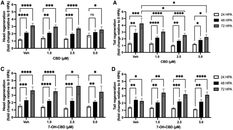 Effects of 0–5 µM cannabidiol (CBD) and 7-hydroxy-cannabidiol (7-OH-CBD) on Lumbriculus variegatus regeneration. Following bisection, L. variegatus were exposed to 0–5 µM CBD or 7-OH-CBD and regenerative capacity was assessed at 0-, 24-, 48- and 72-hr postamputation (HPA). Regeneration over 72 hr of L. variegatus (A) head and (B) tail when exposed to 0–5 µM CBD. (C) Head and (D) tail regeneration when exposed to 0–5 µM 7-OH-CBD. Data are expressed as fold change relative to 0 HPA. Analysis was conducted by two-way analysis of variance with Dunnett’s posttest. n ≥ 17 for each concentration. Error bars represent the SEM. Veh = 0.5% (v/v) dimethyl sulfoxide in artificial pond water for CBD or 0.5% (v/v) methanol in artificial pond water for 7-OH-CBD.