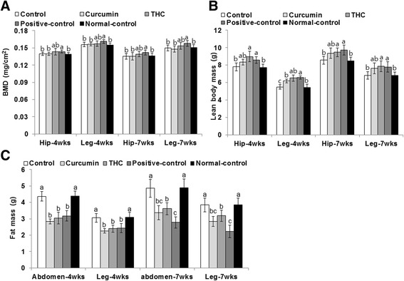 Bone mineral density (BMD) and lean mass of the femur and knee with intra-articular injection of monoiodoacetate (MIA) at days 0 and 21 after MIA injection. Ovariectomized (OVX) rats were provided with a 45 % fat diet containing (1) 0.4 % curcumin, (2) 0.4 % tetrahydrocurcumin (THC), (3) 30 μg/kg body weight 17β-estradiol + 0.4 % dextrin (positive control), (4) 0.4 % dextrin (control), or (5) 0.4 % dextrin (normal control for osteoarthritis). At the beginning of the fifth week, an articular injection of monoiodoacetate into the right knee was performed on all OVX groups except the normal-control group and the assigned diets were provided for an additional 3 weeks. Rats in the normal-control group had an articular injection of saline in the right knee. BMD (a) and lean body mass (b) of the hip and right leg and fat mass of the abdomen and right leg (c) were measured by DEXA. Each bar and error bar represents the mean ± SD (n = 10). (a, b, c) The bars with different letters were significantly different among groups by Tukey test at P < 0.05