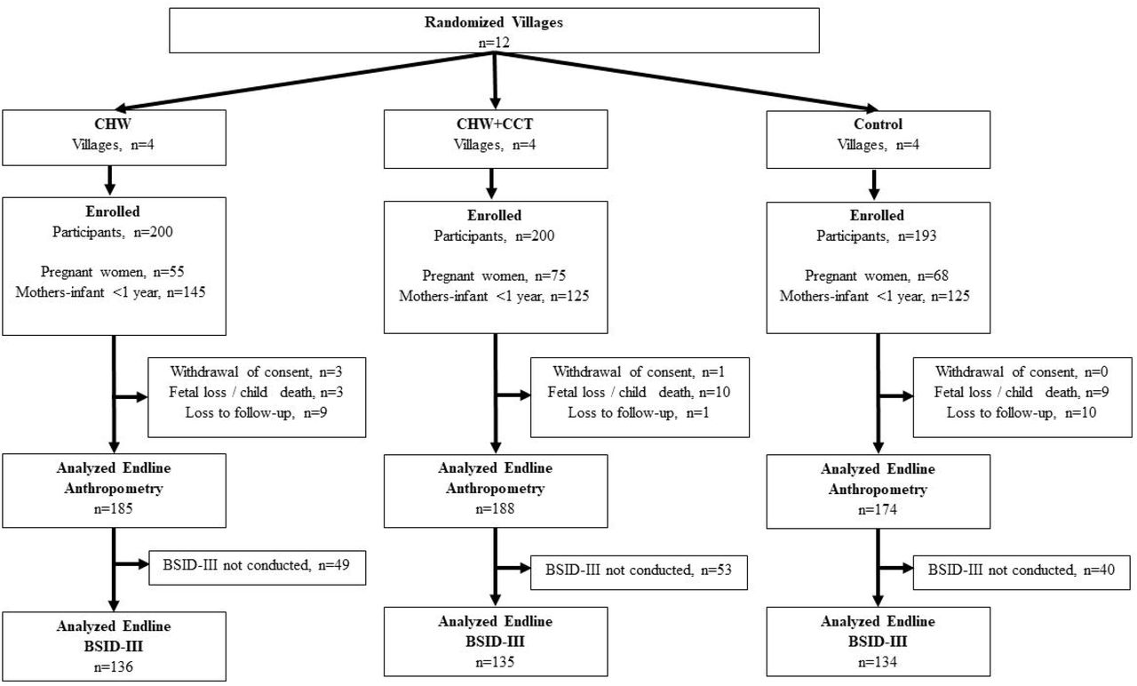 Trial flow diagram stratified by randomized arm