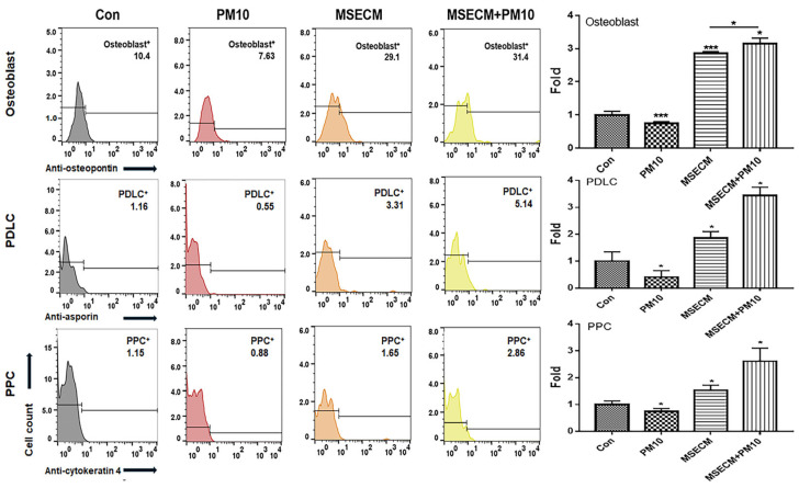 Differentiating patterns of PDLSCs cultured in an MSE-conditioned medium. Differentiation of PDLSCs into osteoblasts, periodontal ligament cells (PDLCs), and pulp progenitor cells (PPC). MSECM, matured hemp stem extract-conditioned medium; PM10, fine dust (* p < 0.05, *** p < 0.001).