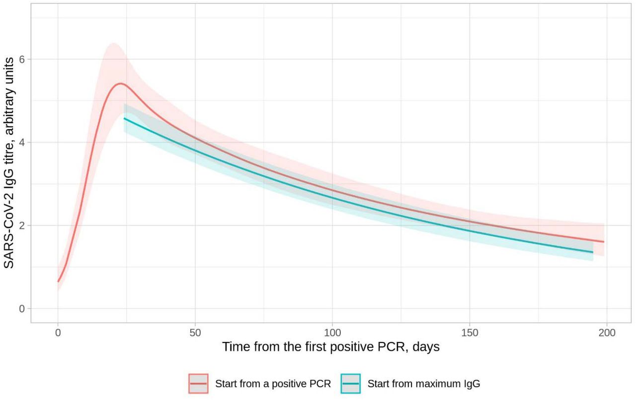 Comparison of SARS-CoV-2 IgG antibody levels following a positive PCR test and the maximum IgG level per individual in those with a positive PCR test.The x-axis value for the model starting from the maximum IgG level is aligned to the maximum point from the model starting with a positive PCR test. The model starting from a positive PCR is fitted with a 5-knot spline (3 interior knots at t=10, t=30, and t=50, locations chosen based on model fit).