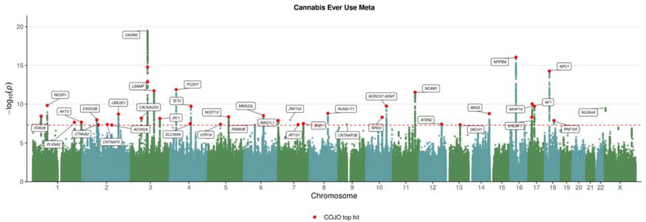Manhattan Plot of META analysis of cannabis use in European ancestry.