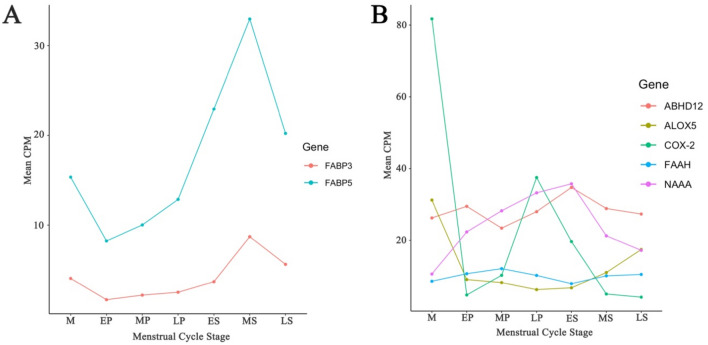 The expression profile of genes encoding ECS transport and degrading proteins. Transcription expression that showed a significant difference at any stage in the menstrual cycle were plotted against cycle stage. (A) For the transporting proteins moderate expression was observed for FABP5 and FABP3 that was significantly increased across the menstrual cycle. (B) ECS degrading enzymes had a moderate to low expression that were most commonly altered between the menstrual and early proliferative stage, or during the period from the late proliferative to mid secretory stage. Two genes ABHD12 and NAAA showed a consistent increase over the proliferative stage, after which there was decrease in expression. M = Menstrual, EP = Early proliferative, MP = Mid proliferative, LP = Late proliferative, ES = Early secretory, MS = Mid secretory, LS = Late secretory.