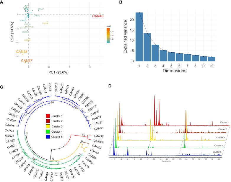 Clustering of the fifty-two hemp seed accessions based on the similarities of their metabolic fingerprints detected by LC-MS in positive ion mode. (A) PCA scores plot showing accessions CAN48, CAN58 and CAN37 as outliers; (B) Scree plot and the percentage of variance explained by the first 10 components; (C) HCAbp showing the metabolic clustering of the 52 hemp seed accessions in five main clusters highlighted in different colours and (D) Overlaid LC-MS chromatograms of one representative sample from each of the five groups.