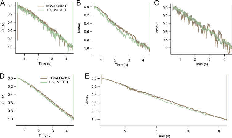 CBD does not speed HCN4 Q401R activation. Representative traces were normalized to peak current and superimposed before (brown) and after (green) application of 5 µM CBD. (A–D) Out of a total of eight cells, four were chosen as representatives (A–D) across three separate transfections. D was chosen as the representative trace shown in Fig. 4 E. (E) The same cell as in D is shown after activation time from D was doubled to 8 s.