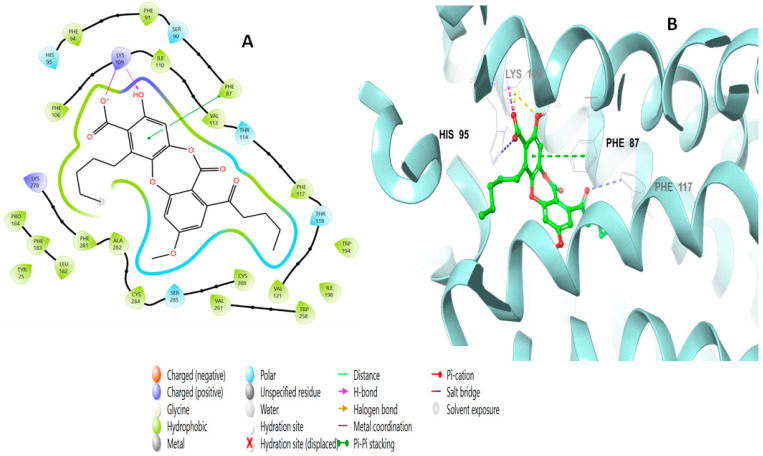 Putative binding mode of lobaric acid (110) at the binding site of CB2 receptor (PDB ID: 6KPF). Lobaric acid (110) is displayed as green sticks. H bonds are displayed as yellow dotted lines, and ionic bonds as blue dotted lines. (A) Two-dimensional view; (B) three-dimensional view of CB2 complexed with lobaric acid (110).
