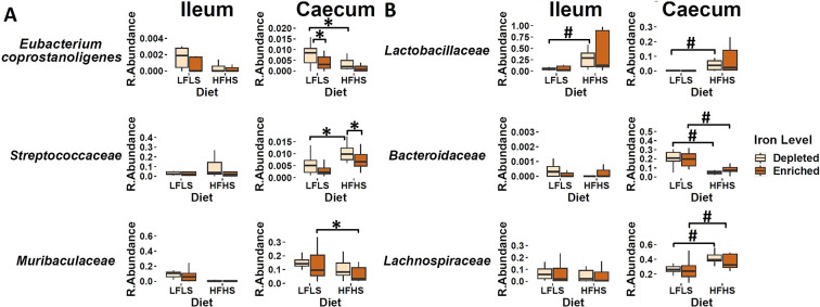 Effect of Fe-depleted and Fe-enriched LFLS or HFHS diets on bacterial relative abundance at the family level in the ileum and caecum. (A) Effect of Fe in the interaction of LFLS and HFHS formulations on intestinal microbial families. (B) Effect of solely LFLS or HFHS formulations. Data are expressed as the mean ± SEM (n = 48). P values of linear contrast analysis are detailed in the bottom when significant (p < 0.05) using contrast tests between enriched and depleted Fe levels, LFLS and HFHS formulations, and the combination between Fe levels and formulations. The star ‘*’ symbol was used to show the effect of Fe alone or interaction with LFLS or HFHS. The numeral ‘#’ symbol was used to denote the effect of only LFLS or HFHS. The samples analysed and showed are at day 28 of the study.
