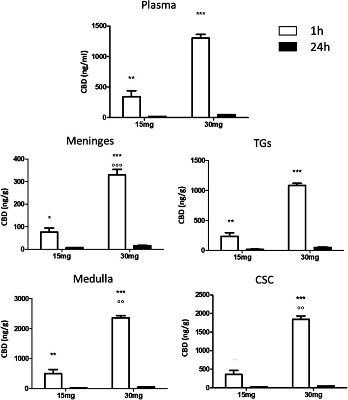 CBD levels in plasma, meninges, trigeminal ganglia (TGs), medulla and cervical spinal cord (CSC) in rats treated for 5 days with CBD 15 or 30 mg/kg, and sacrificed 1 h and 24 h after the last administration. Data were normally distributed and were analyzed by using 2-way ANOVA followed by Sidak's multiple comparisons test: *p < 0.05, **p < 0.01 and ***p < 0.001 vs. 24 h; °°p < 0.01 vs. 15 mg/kg. Data are expressed as mean ± SEM, N = 7 per group