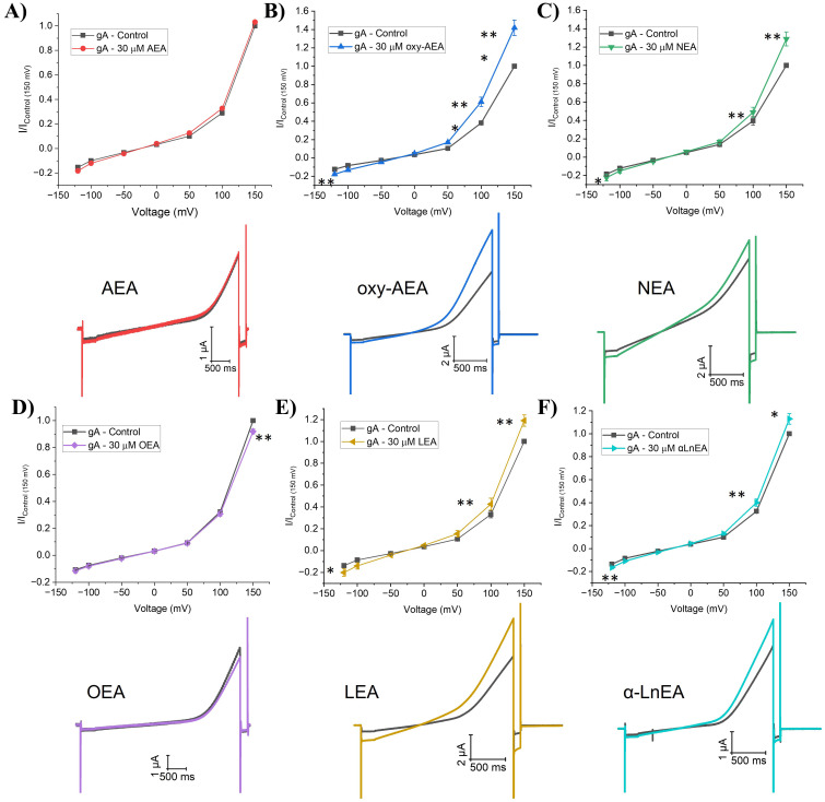 Fatty acid Ethanolamides (FAEs) effect on gramicidin currents (gA).(A-F) (top) Averaged cationic gramicidin currents before and after treatment with AEA, oxy-AEA, NEA, OEA, LEA or αLnEA respectively. Test currents were averaged at −120 mV, −100 mV, −50 mV, 0 mV, + 50 mV, + 100 mV, and +150 mV. (below) Representative gA current traces before and after treatment with AEA, oxy-AEA, NEA, OEA, LEA or αLnEA. Paired student t-test was used to determine I/Imax differences at −120, + 100 and +150 mV (6 < n < 12; * = P < 0.05, ** = P < 0.01, *** = P < 0.001).