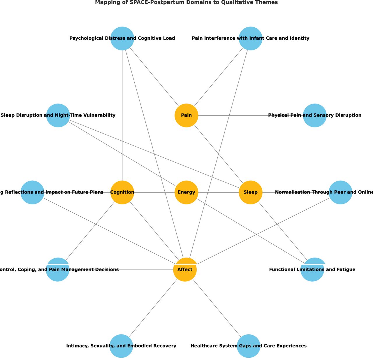 Mapping of SPACE-Postpartum framework to 10 qualitative themes. Mapping was performed after inductive theme generation.
