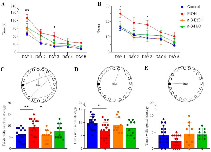 Barnes maze performance of control (n = 18), EtOH (n = 17), n-3-EtOH (n = 10) and n-3-H2O (n = 10) mice: (A) Time required (day 1: EtOH vs. control p = 0.0025; day 3: EtOH vs. control p = 0.0414) and (B) number of errors (day 1: EtOH vs. control p = 0.0217; day 3: EtOH vs. control p = 0.0300) to locate the escape box over five days of testing. Data are presented as mean ± SEM and analyzed using two-way ANOVA followed by Tukey’s multiple comparison test. Significance levels: * p < 0.05, ** p < 0.01 compared to control. (C) Random (EtOH vs. control p = 0.0046; n-3-EtOH vs. EtOH p = 0.0259), (D) serial (EtOH vs. control p = 0.0141), and (E) spatial strategies used by each experimental group. Data are expressed as mean ± SEM and analyzed using two-way ANOVA followed by Tukey’s multiple comparison test. Significance levels: * p < 0.05, ** p < 0.01.