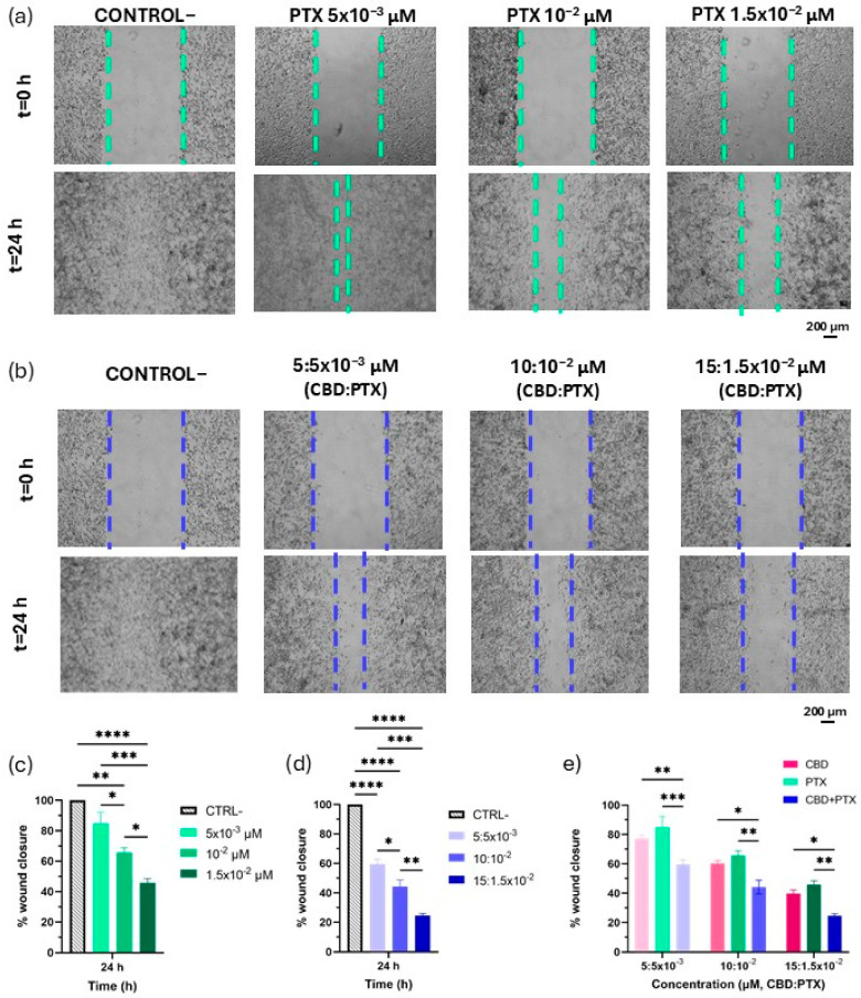 Effect of PTX and CBD + PTX on migration in U-87 MG glioma cell line. (a) Representative images of scratched U-87 MG cell monolayers for each PTX concentration (5 × 10−3, 10−2, 1.5 × 10−2 µM) and time point; (b) Representative images of scratched U-87 MG cell monolayers for each CBD:PTX concentration (5:5 × 10−3, 10:10−2, 15:1.5 × 10−2 µM) and time point; (c) Effect of PTX at 5 × 10−3 (light green), 10−2 (middle green), 1.5 × 10−2 µM (dark green) on cell migration at 24 h, assessed by wound closure percentage; (d) Effect of CBD:PTX at 5:5 × 10−3 (light blue), 10:10−2 (middle blue), 15:1.5 × 10−2 µM (dark blue) on cell migration at 24 h, assessed by wound closure percentage; (e) Anti-migratory effect of CBD (pink), PTX (blue) and CBD:PTX (green) compared by wound closure percentage after 24 h. Scalebar: 200 µm. Statistical analysis: (c,d) one-way ANOVA followed by a post hoc Tukey’s multiple comparison test; (e) two-way ANOVA followed by a post hoc Tukey’s multiple comparison test. Statistical significance is shown only for the treatment type factor: * p < 0.05; ** p < 0.01; *** p < 0.001; **** p < 0.0001.