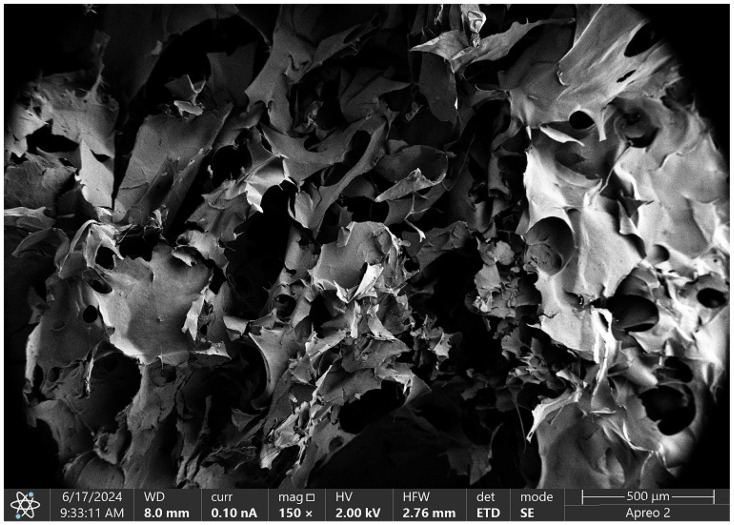 SEM micrograph of the Asp:Glu 0.84:0 + poly(dopamine) sample.