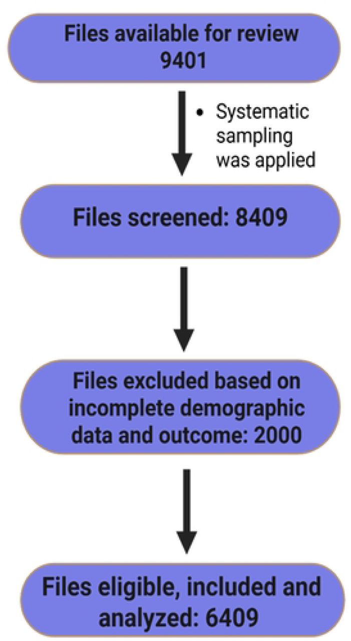Participant recruitment flow.
