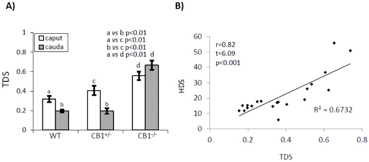 Flow cytometry analysis of sperm from caput and cauda epididymis of WT, CB1+/-, and CB1-/-stained with AO. Green (FL1-H > 101) and red (FL3-H >101) fluorescent DNA were used to analyze: (A) TDS (used as index of thiol groups oxidation) values. Graphs were representative of four sperm samples/animal/genotype (n = 4 animals for each genotype in triplicates). Data were expressed as the mean ± S.E.M. Different letters indicated statistical significance (p < 0.05 or p < 0.01). (B) Correlation analysis between HDS and TDS values relative to caput and cauda SPZ of WT, CB1+/- and CB1-/-, independently by genotype and epididymal region (r = 0.82, p < 0.001).