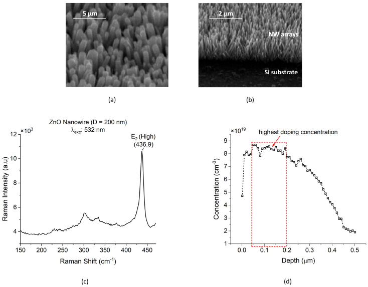 (a) SEM photographs of densely grown ZnO NWAs. (b) Cross-sectional view of area-selectively grown ZnO NWs. (c) Raman spectroscopy with ZnO nanowires synthesized on Si substrate by CBD. The Raman results were obtained under 532 nm wavelength, with 3 mW excitation power, and at room temperature. (d) ECV concentration profile of n-type silicon after phosphorus diffusion.