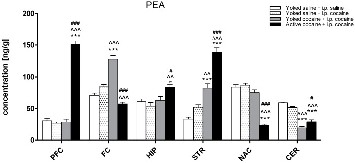 Levels of palmitoylethanolamide (PEA) in brain structures in rats previously self-administered cocaine (14 days) (Active cocaine) or which passively received cocaine (Yoked cocaine) or saline (Yoked saline) and underwent extinction training (10 days) and drug-induced reinstatement (10 mg/kg cocaine i.p. or saline i.p.). N = 7–8 rats/group. All data are expressed as the means ± SEM. * p < 0.05, ** p < 0.01, *** p < 0.001 vs. Yoked saline + saline i.p.; ^ p < 0.05, ^^ p < 0.01, ^^^ p < 0.001 vs. Yoked saline + cocaine i.p.; # p < 0.05, ## p < 0.01, ### p < 0.001 vs. Yoked cocaine + cocaine i.p. A description of the abbreviations has been placed under Figure 2.