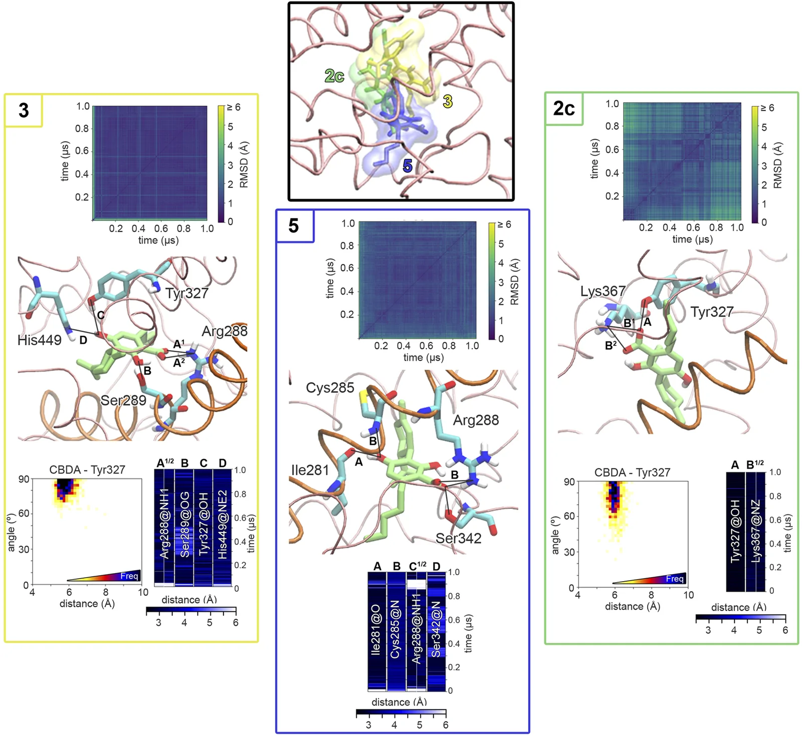 Scientific figure showing comparative molecular analyses of protein binding sites labeled 2c, 3, and 5, with structural renderings, contact residue labels, protein interaction schematics, heatmaps of RMSD over time, and interaction distance-angle plots accompanied by color-coded frequency histograms within yellow, blue, and green-framed panels for each site.
