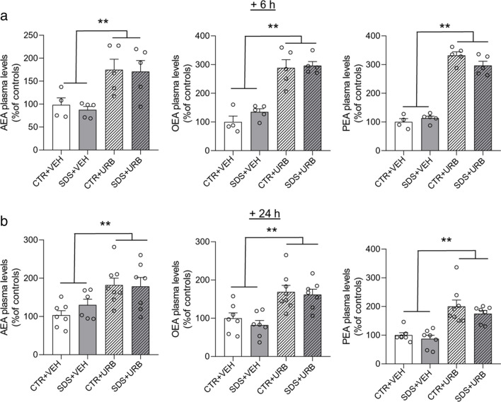 Plasma levels of fatty acyl ethanolamide 6 h (n = 4/5 per group, panel a) and 24 h (n = 6/7 per group, panel b) after social defeat stress/control procedure. Abbreviations: AEA = anandamide; OEA = oleoylethanolamide; PEA = palmitoylethanolamide. SDS = social defeat stress; CTR = control; VEH = vehicle; URB = URB937. Values are expressed as means (± SEM). ** = p < 0.01