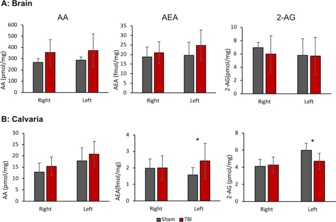 Brain (A) and calvarial bone (B) endocannabinoid levels following mTBI using LC-MS/MS. Data represent mean ± SD in 8–10 mice per group *p < 0.05 versus Sham for each side separately, using Student’s t-test.